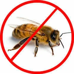 Honey Bee Control near me