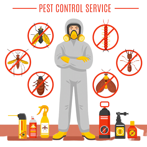 best pest control in mumbai